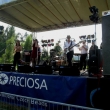 Mandragora zastenrock Z�sada 2013